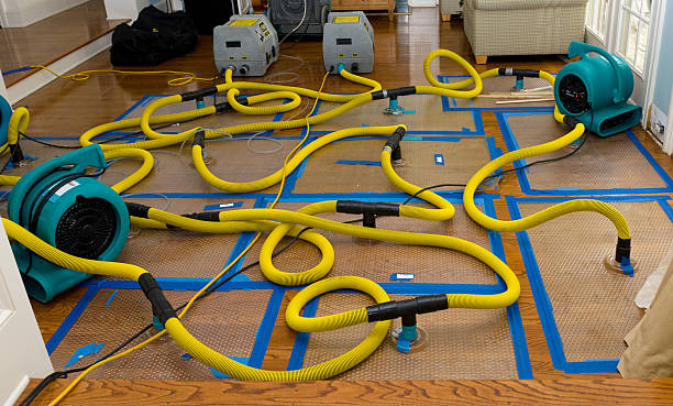 Professional Water Damage Repair technician working in Forest Falls, CA